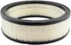 Baldwin Air Filter , PN # PA621