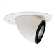 1062LV Eyeball Trim with Lightolier 1000LVR  Low Voltage REMDLR KIT
