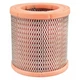 Baldwin Filters Pa30301 Air Filter, 4-7/16" O.D., Element Only