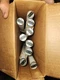 Untested Case Lot 9 Sylvania OCTRON&reg; ECOLOGIC FO32/735/ECO T8 Fluorescent Lamp.&nbsp;