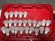 SYLVANIA LED9A19/B60W/827/1P A19 9W 2700K 750LUMENS SOFT LIGHT BULBS, PACK OF 25