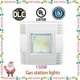 LED BEAST 150W Canopy Light, 5000K