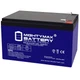 Mighty Max 12V 15AH GEL F2 Battery Compatible with SigmasTek SP12-12HR