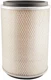 Air Filter Baldwin PA2938