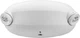 Lithonia Quantum LED Emergency Light 220 Lumens Adjustable Dual Heads 90 Min