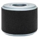 BALDWIN FILTERS PA4552 Air Filter,Element Only, Oval 4RGE2