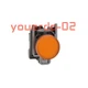 1 PC New With Box Schneider XB4BVG5 &Oslash;22 Orange indicator light - LED~110... 120V