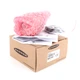 Banner 806182 K50PTKQP New in Box