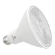 Green Creative PAR38 19.5W E26 3000K 25Deg Refine Series Dimmable Lamp