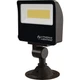 LITHONIA LIGHTING ESXF1 ALO SWW2 KY DDB M2 Floodlight,LED,1500/3000/5000 lm 802N