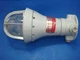 NEW CROUSE HINDS EVCX 215, EVCX-215, EVCX215, EXPLOSION-PROOF INCADESCENT LIGHT