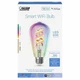 Feit Smart Home ST21 E26 (Medium) Smart-Enabled LED Bulb Amber 60 Watt