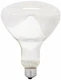 GE Lighting 21256 Soft White 300-watt R40 Light Bulb with Mogul Screw Base,