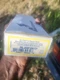 Advance RL-3SP20-TP Rapid Start Ballast 