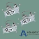 3 Atlantic LED6-SYL-20-4K Type A 6" LED Recessed Light 4000K 2000lm Dimmable