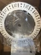 Gotham lighting EVO 6FL U 6&rdquo; round Flangeless trim ring
