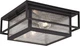 Vaxcel Lighting T0470 Hyde Park 2 Light 12"W Outdoor Flush Mount - Bronze