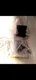 RHB/H 3/4" NPT HOOK HALCO 10128 Round LED High Bay Series LIGHTING HOOK
