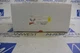 NEW VLL2RGO Philips Chloride 2- 1W Dual Remote LED Lamp Outdoor Grey NEW