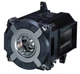 CoreParts ML12446 100013748 Projector Lamp for NEC 350 Watt 3000 Hours, Fit ~E~