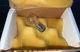 Nos Surplus FEDERAL SIGNAL CORP. INCANDESCENT HALOGEN LAMP BULB NIB K8107210A