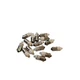 Lot Of 15 StarLED 120V-DP White Indicator Light Pilot Lamp - 120V