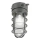 HALO VT100G 100W Vapor Tight Light