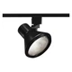 Juno Lighting Track Lighting Head,Flare,Blk,6in R550  Juno Lighting R550