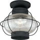 Vaxcel Lighting T0144 Chatham 1 Light Semi-Flush Mount Outdoor - Black