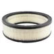 Baldwin Filters Pa621 Air Filter, 10-1/32 X 3 In.
