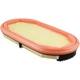Baldwin PA5290 Secondary Air Element