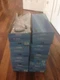 LOT OF 8 Nora Lighting NL-301QAT New Construction Recessed Housing for 3" Trim 
