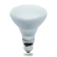Replacement Bulb for PHILIPS 65BR30/FL55 130V 65W 130V
