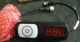 Banner PTL110S-TD3-QP150 Pick To Light