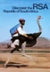 13843.Decor Poster.Home Interior design.Wall Art.Vintage South Africa Travel RSA