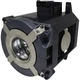 Jaspertronics&trade; Original NP26LP Lamp & Housing for NEC Projectors - 1yr Warranty