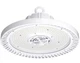 Hubbell Industrial Lighting LED Wet Location Round High Bay White 