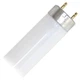 Box of 24 - GE 45743 - F17T8/SP35/ECO Straight T8 Fluorescent Tube Light Bulb