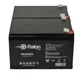 Raion Power 12V 12Ah Battery For SigmasTek SP12-12HR - 2 Pack