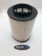 PA4173 Fits Baldwin Air Filter SK10270126JE