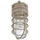 (1)-Halo LED Vapor Tight Wet Location Rated, Canopy Light Fixture. Model: VT100G