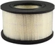 Baldwin Air Element PA3970