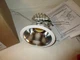 NEW PRESCOLITE LF6LEDG4 6LFLED6G440KWT 6" ROUND LED DOWNLIGHT KENDALL 3546781