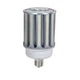 Topaz 79691 100W LED Post Top High Bay Light 5000K Mogul Base, Replaces 400W MH,