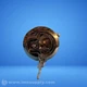 Southco C2-10-125 Captive Cam Latch FNIP